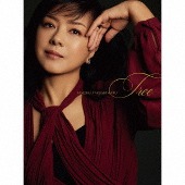 Yakushimaru Hiroko[薬師丸ひろ子]/Tree [SHM-CD][첫회한정프리미엄반]