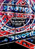 TM NETWORK 40th FANKS intelligence Days 〜DEVOTION〜 AFTER PAMPHLET (リットーミュージック) [릿토뮤직 무크/서적]
