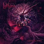 Lutharo/Chasing Euphoria