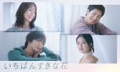 TVドラマ/いちばんすきな花 -ディレクターズカット版- Blu-ray BOX