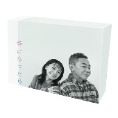 TVドラマ/春になったら DVD-BOX