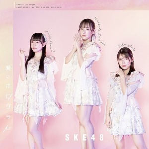 SKE48/愛のホログラム [CD+DVD/통상반/TYPE-C]