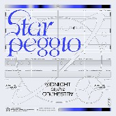Midnight Grand Orchestra/Starpeggio [통상반]