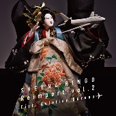 Sheena Ringo[椎名林檎]/逆輸入 ～航空局～ [첫회한정생산반][아날로그반 (LP)]