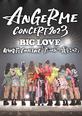 ANGERME/ANGERME CONCERT 2023 BIG LOVE 竹内朱莉 FINAL LIVE 「アンジュルムより愛をこめて」 [DVD]