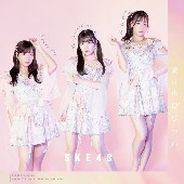 SKE48/愛のホログラム [CD+DVD/통상반/TYPE-B]